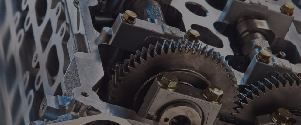 PIÑONES-DISTRI-banner-NW-08